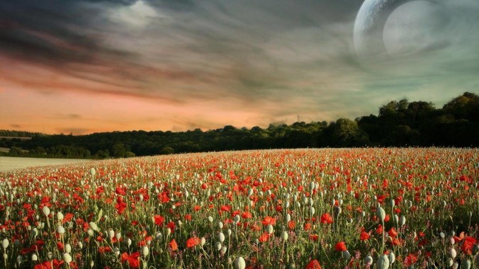 北京日报点名批评“苏超”过度娱乐化，它是否管的太宽了？为什么无良媒体不会被查封取缔？